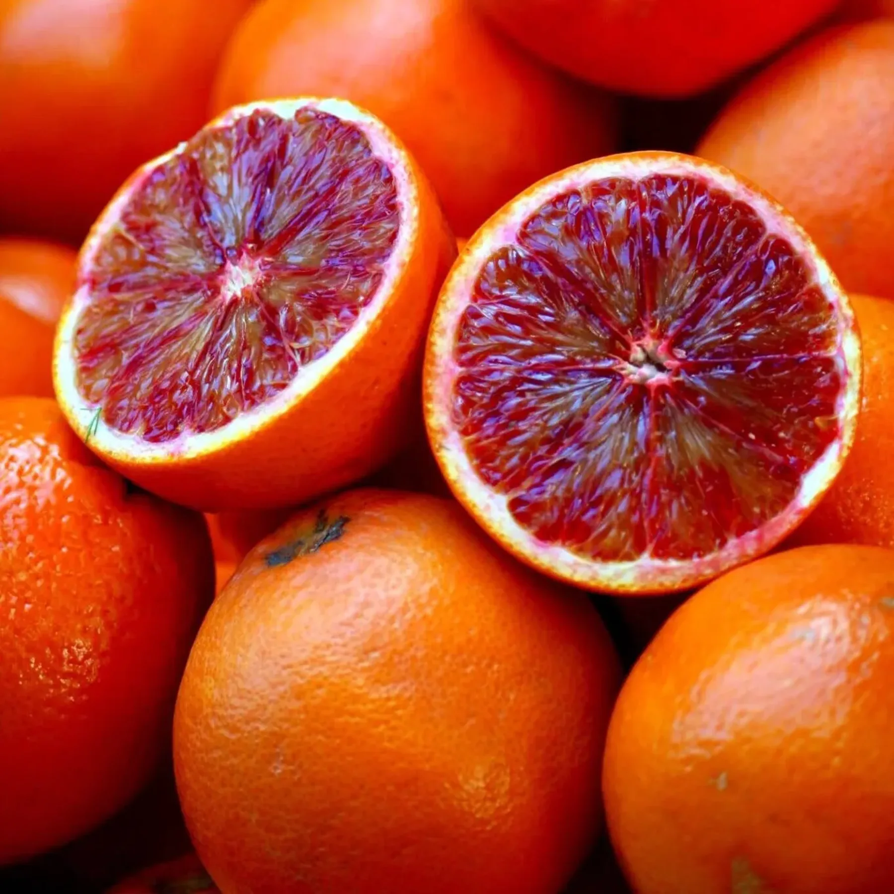 Blood Orange