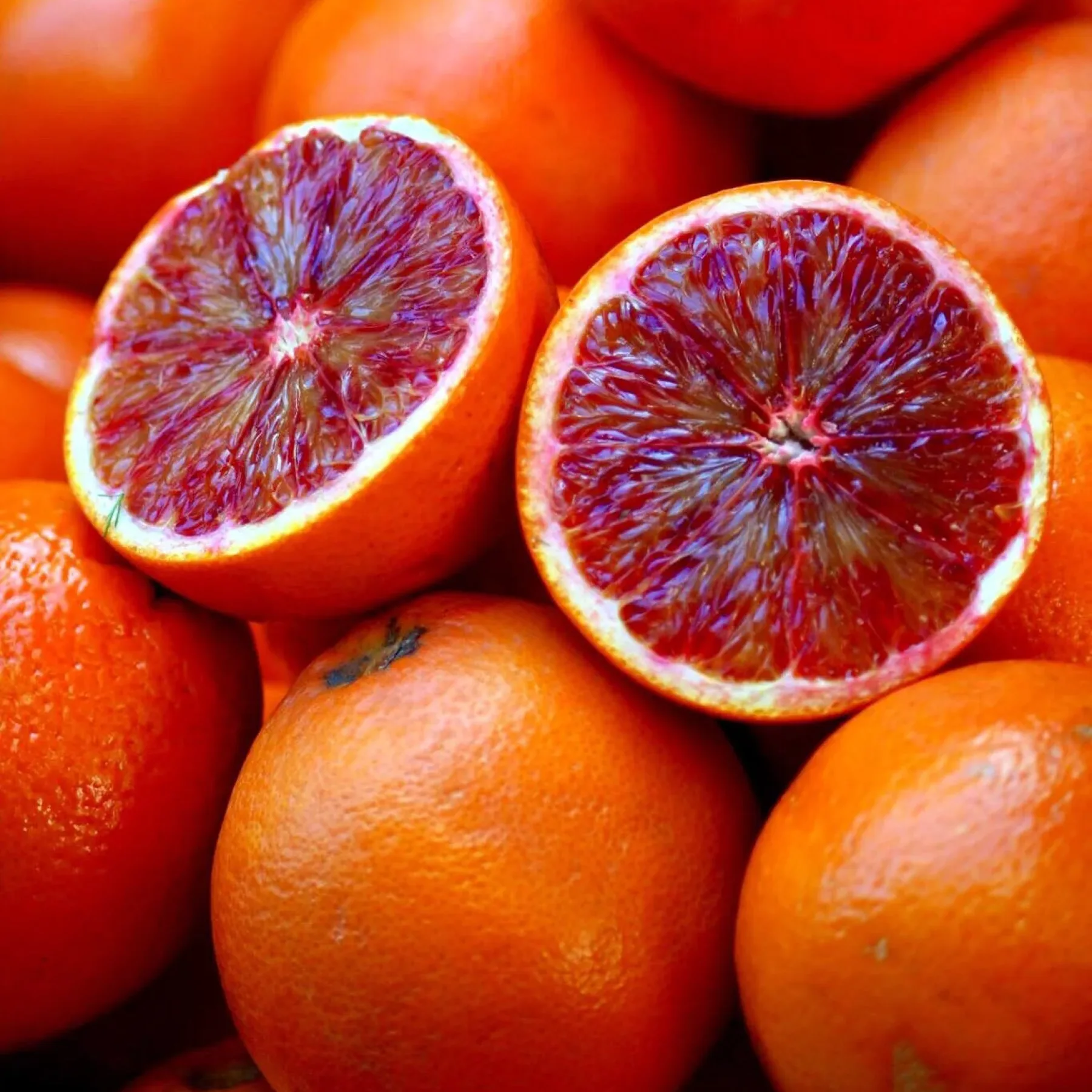 Blood Orange